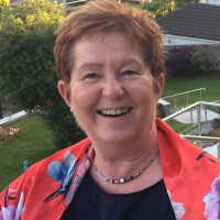 Bhéarslabhairt Moltóir: Dr. Marian McCarthy