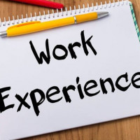TY Work Experience Vacancies